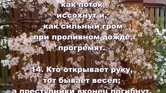 40. Сирах смотреть онлайн