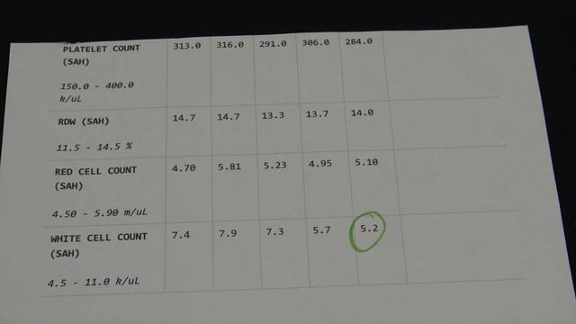 BLOOD TEST Results After 30 Days On The Carnivore Diet смотреть онлайн