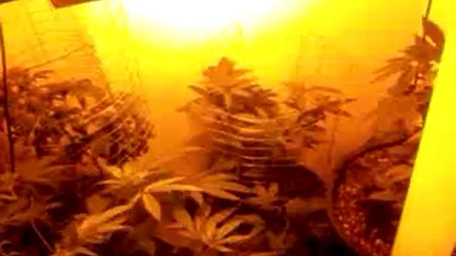 Update Ipower 400/ Hydrofarm 125 Cfl