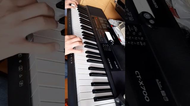 Mr. Dex - Podarunki, keyboard Casio CT-X700 смотреть онлайн