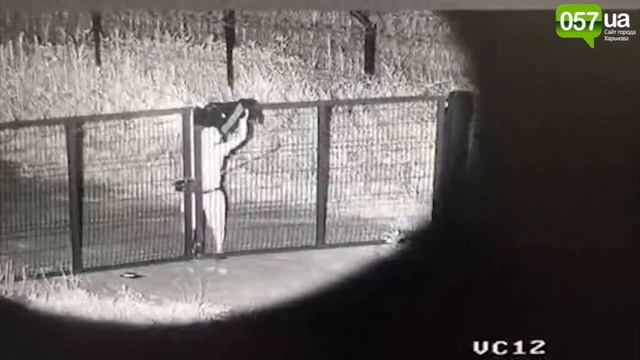 На границе с РФ мужчина перелез через забор с колючей проволокой смотреть онлайн