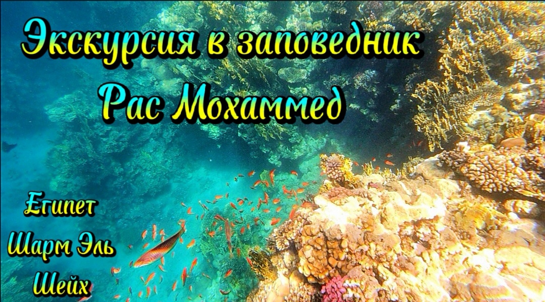 Заповедник Рас Мохаммед, Египет, Шарм Эль Шейх, экскурсия, 2 часть смотреть онлайн