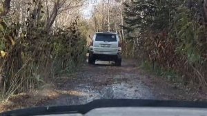 Покатушка Хомутово - Лесное. Hilux Surf 215