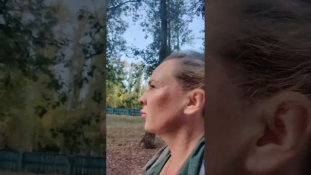 Ульяновск бегу .дворы молодости смотреть онлайн