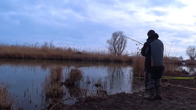 САЗАН ЗАГНАЛ В ВОДУ !!! смотреть онлайн