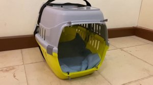 КАК ПУТЕШЕСТВОВАТЬ С СОБАКОЙ НА САПСАНЕ // ВАЖНЫЕ НЮАНСЫ