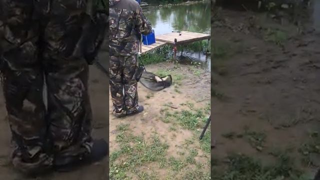 Поимка смотреть онлайн