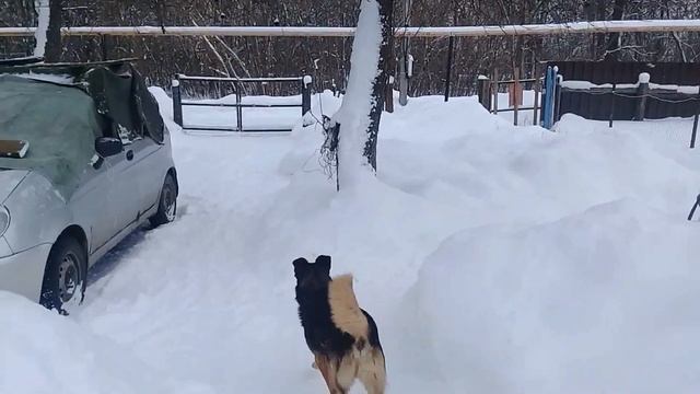Что делаем в морозные дни в деревне. Показываю деревенский двор и курятник смотреть онлайн