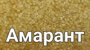 Амарант. Амарантовая каша как готовить. Щирица.