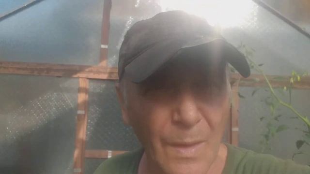 дача 70 смотреть онлайн
