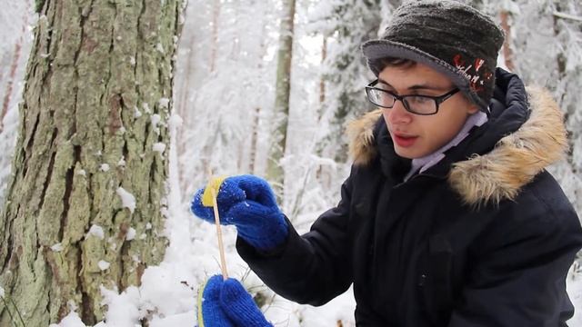 LIVEstonia Episode 22 RUS смотреть онлайн