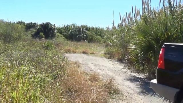 FORD EXPLORER SPORT TRAC OFF ROAD (PLAY AREA)