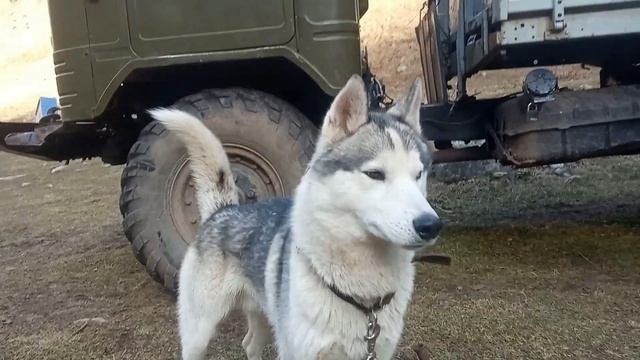 Проект "Терскол" монтаж проводки 12 и 220 вольт смотреть онлайн