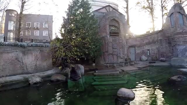 Московский зоопарк 2020 смотреть онлайн