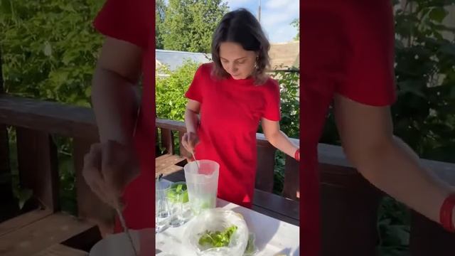 Растим мяту и делаем мохито - идеальный напиток этого лета ? смотреть онлайн