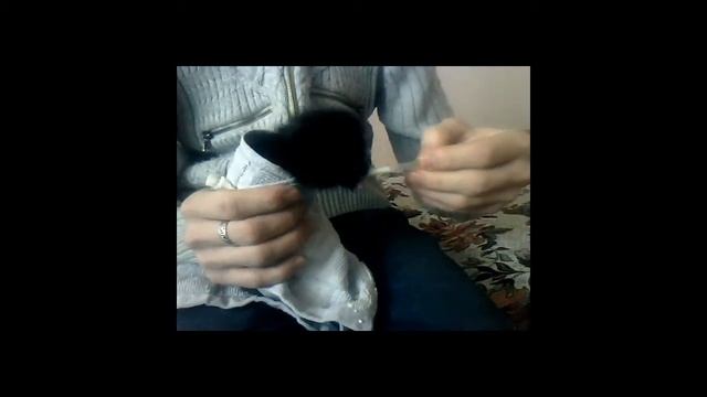 Как кормить маленького котёнка смотреть онлайн