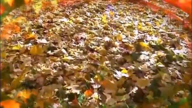 ПУСТЬ ЭТА ГРУСТЬ ПРОЛЕТИТ СТОРОНОЙ смотреть онлайн