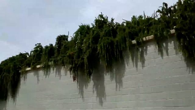 Пинеда де Мар... ИСПАНИЯ 2018 год. Отель Golden Taurus Aquapark Resort дорога к морю. смотреть онлайн