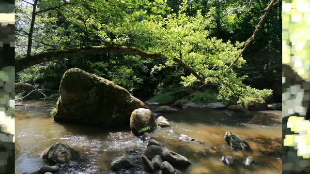 FOREST SPIRIT - Waldgeist - synthesizer ROLAND JD-Xi - nature meditation Relax Chill Out - SUNNYROS смотреть онлайн