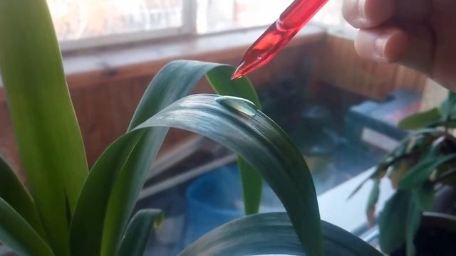 Весна близко / лайфхак для инстаграм смотреть онлайн