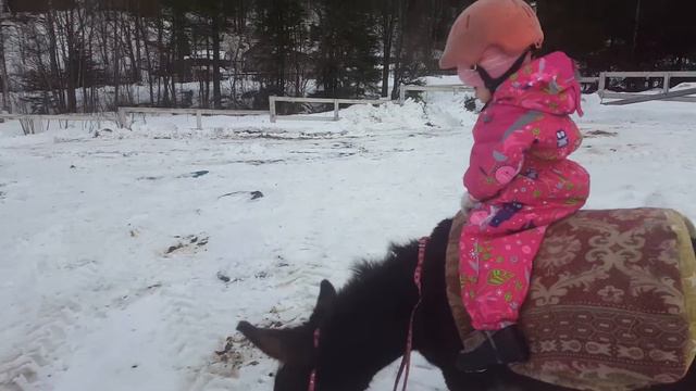 Аврора катается на ослике. смотреть онлайн