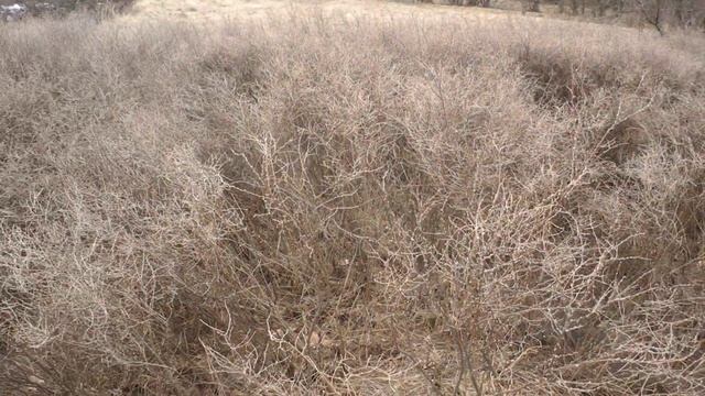 как заработать миллион на дерезе смотреть онлайн