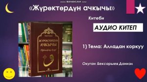 журоктордун ачкычы АУДИО китеп 1) тема