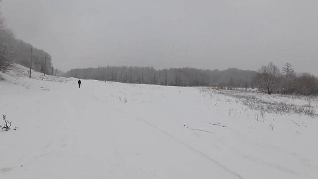 Зимняя сказка. Путь к источнику в Рыльском монастыре. #зима #снег #монастырь #источник смотреть онлайн