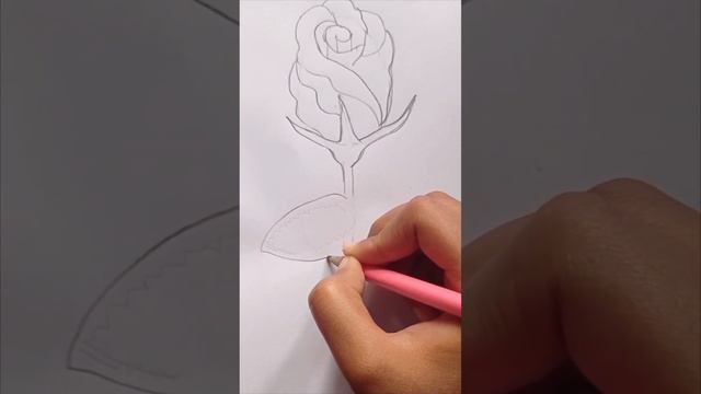 How to draw a rose || pencil sketch смотреть онлайн