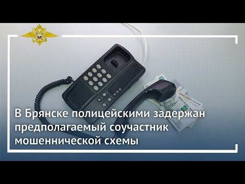 Ирина Волк: В Брянске полицейскими задержан предполагаемый соучастник мошеннической схемы смотреть онлайн