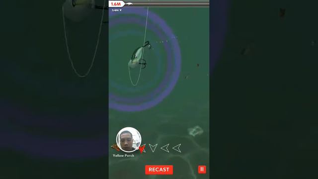 Vlog #7 - Rapala Fishing on Android? смотреть онлайн