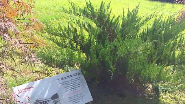 Санатории Сочи во время ВОВ 1941-1945г смотреть онлайн