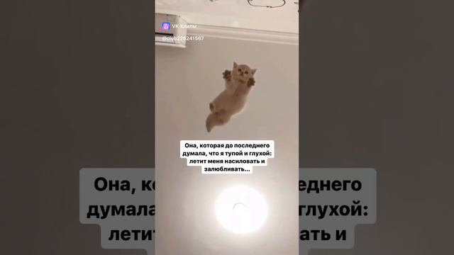 муж и жена одна сатана