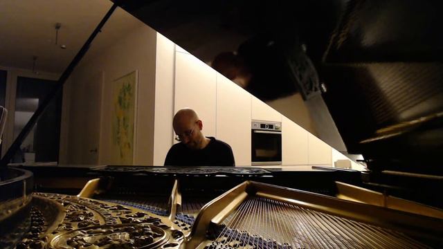 #206 of 10.000 Blüthner Grand Piano Pieces смотреть онлайн