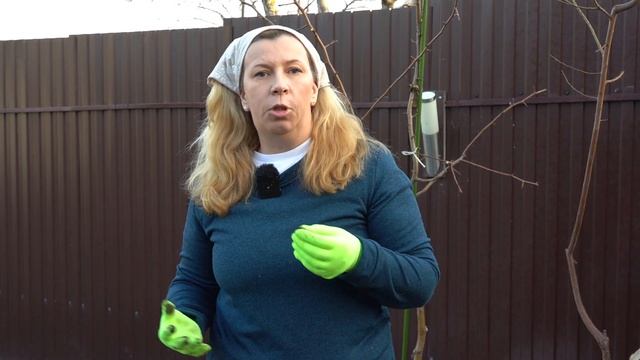 «Дачные радости с Мариной Рыкалиной. Спецвыпуск» №14. Подготовка грядок для земляники. смотреть онлайн