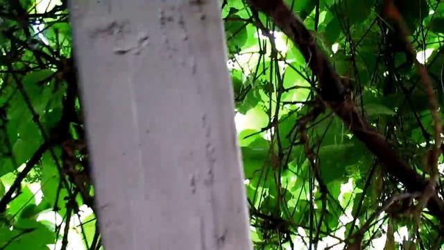 Обзор дачного домика. смотреть онлайн