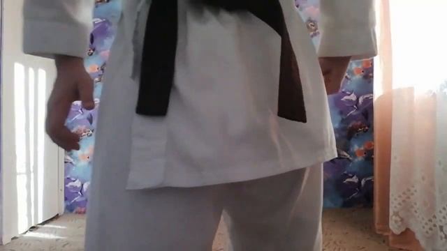 ИЗУЧЕНИЕ ПРИЕМОВ КАРАТЕ В ДОМАШНИХ УСЛОВИЯХ / Practice Karate Techniques At Home