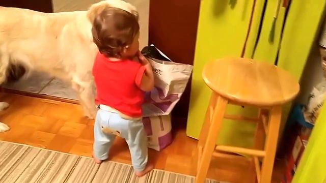 Малыш кормит собаку. BABY FEEDING A BIG DOG смотреть онлайн