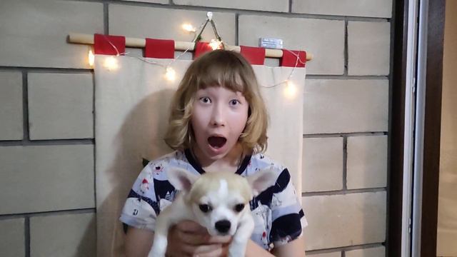 This is magic 🌈☃️ это волшебство❄🌬 смотреть онлайн