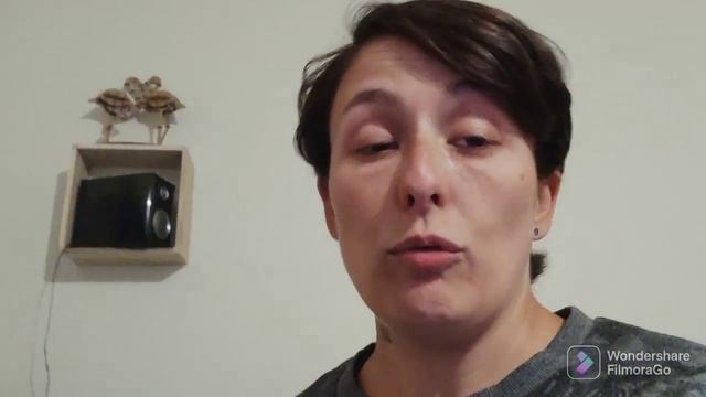 Vlog | colis zoomalia et santé discount, véto et blabla смотреть онлайн