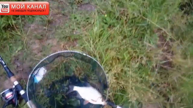 Утренний Фидер р.Нарова смотреть онлайн