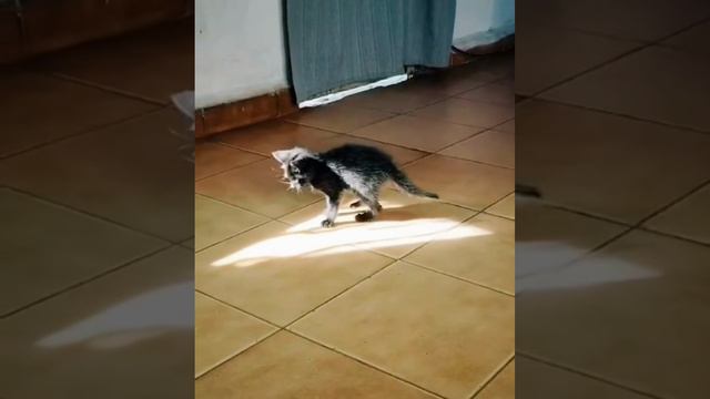 Солнечные ванны смотреть онлайн