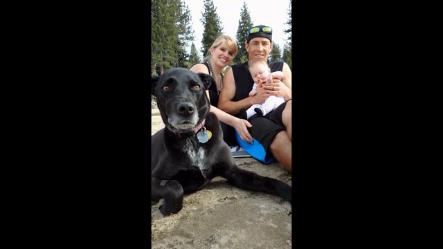 Aspen смотреть онлайн