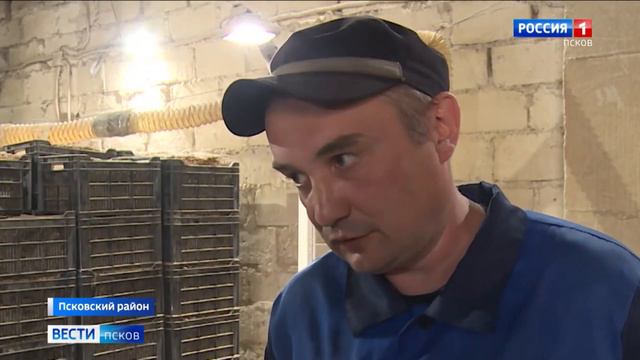 Представители СМИ ознакомились с производственными возможностями ИК-4 27 06 2022 смотреть онлайн