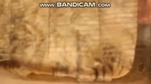 Как мыть овечью шерсть