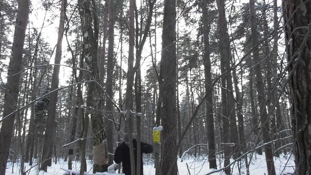 Нн ИВАНОВ _ В ДОДЗЁ ( ЗИМНИЙ ЛЕС ) 2023 смотреть онлайн