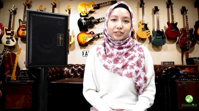 Groovy BM35 Portable Bluetooth Monitor Amplifier with build in battery смотреть онлайн