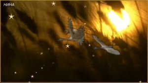 А ГОДЫ ЛЕТЯТ...