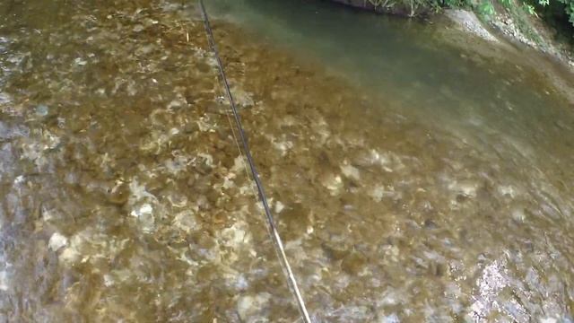 Охота на пеструшку . Разведка новой локации . ловля форели . Дикая форель . смотреть онлайн