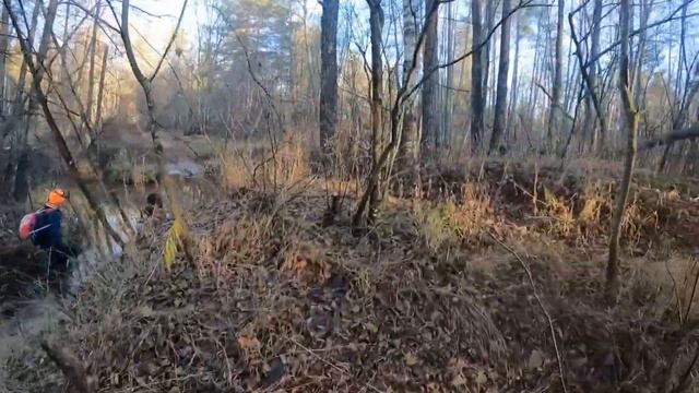 Поход на 50 км по лесам Марий Эл за 10 часов смотреть онлайн